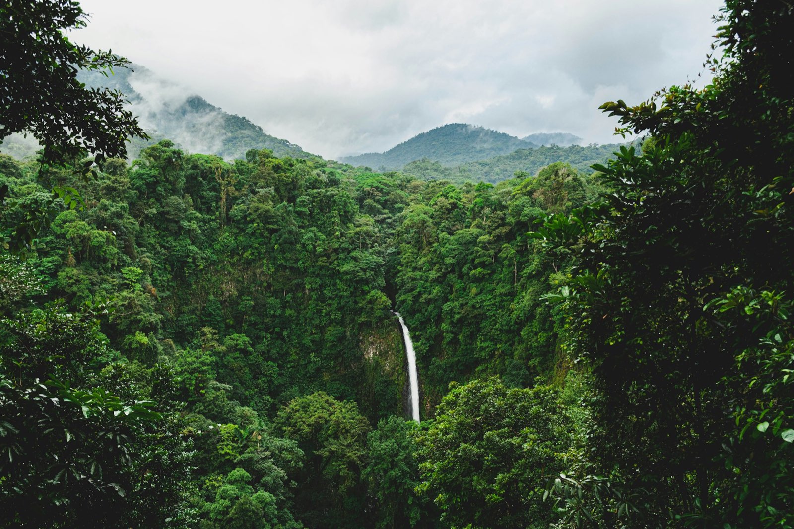Stunning waterfall surrounded by lush rainforest in Costa Rica