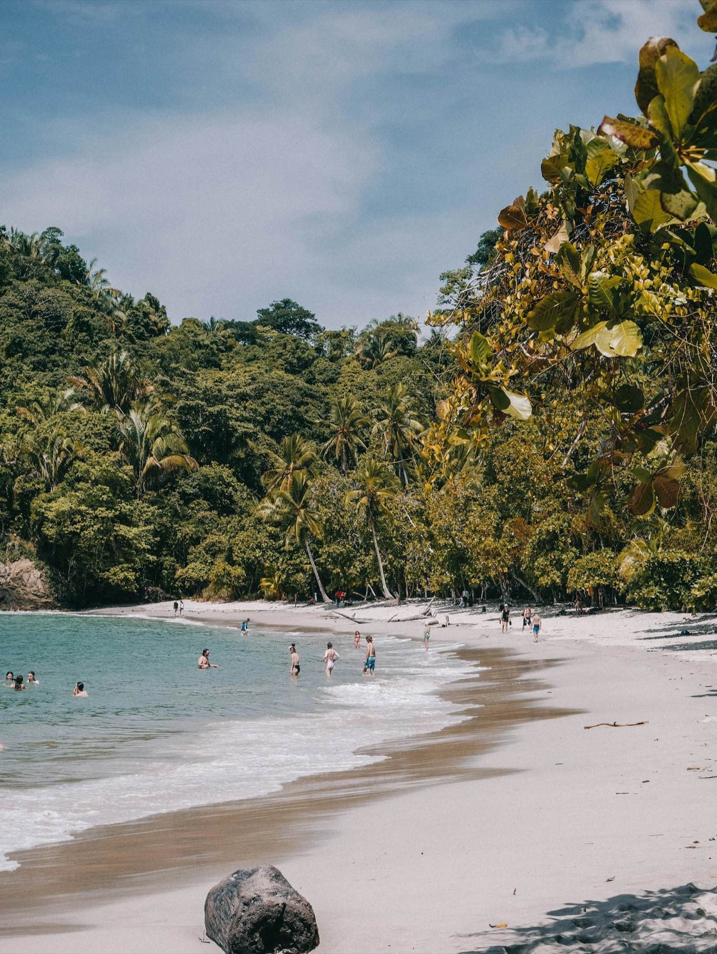 Manuel Antonio beach where rainforest meets the Pacific Ocean